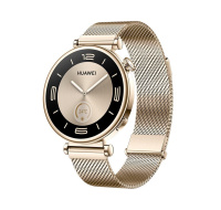 Huawei Watch GT4 41mm (Aurora-B19M), gold EU