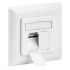 Sieťová zásuvka CAT 6a triedy EA 2x RJ45