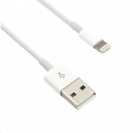 Kábel C-TECH USB 2.0 Nabíjací a synchronizačný kábel Lightning (IP5 a vyšší), 1 m, biely