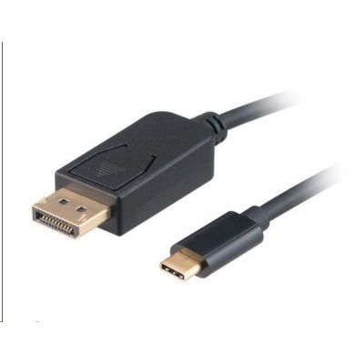 Adaptér AKASA USB Type-C na DisplayPort, kábel, 1.8m