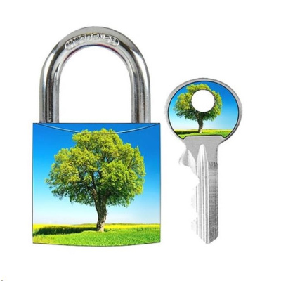 Master Lock 3430EURDAST_tree visací zámek z pevného hliníku