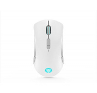 Lenovo Legion M600 Wireless Gaming Mouse (Stingray)