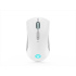 LENOVO Legion M600 Wireless Gaming Mouse (Stingray)
