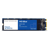 WD BLUE SSD 3D NAND WDS250G3B0B 250GB SA510 M.2, (R:555, W:440MB/s)