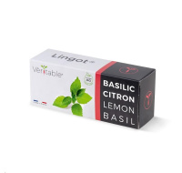 Véritable Lingot Citronová bazalka - BIO