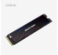 HIKSEMI SSD FUTURE 2048GB, M.2 2280, PCIe Gen4x4, R7450/W6750